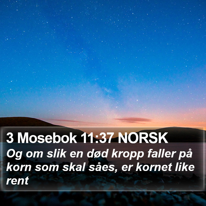 3 Mosebok 11:37 NORSK Bible Study