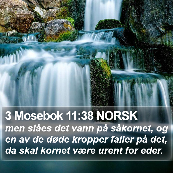 3 Mosebok 11:38 NORSK Bible Study