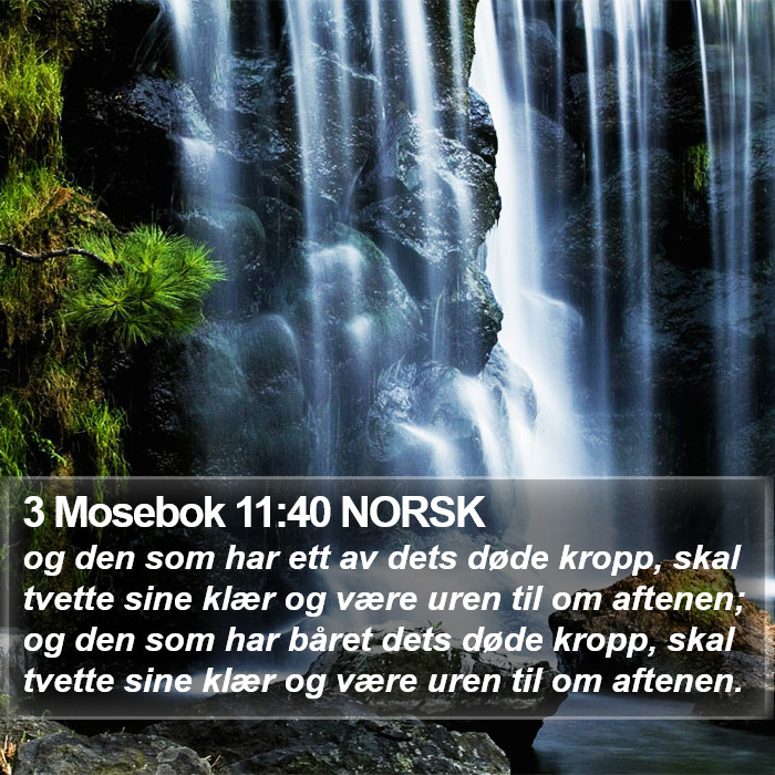 3 Mosebok 11:40 NORSK Bible Study