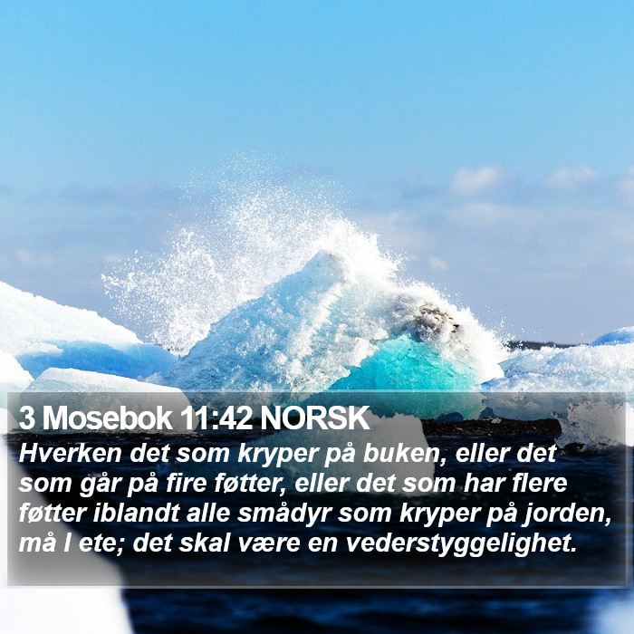 3 Mosebok 11:42 NORSK Bible Study