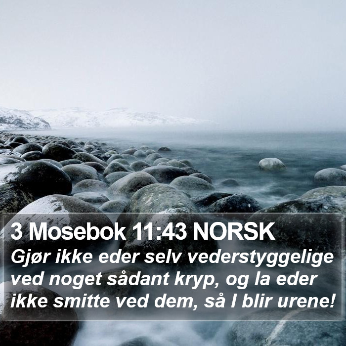 3 Mosebok 11:43 NORSK Bible Study