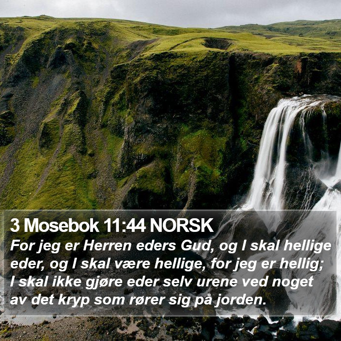 3 Mosebok 11:44 NORSK Bible Study