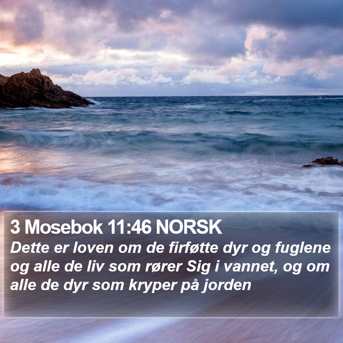 3 Mosebok 11:46 NORSK Bible Study