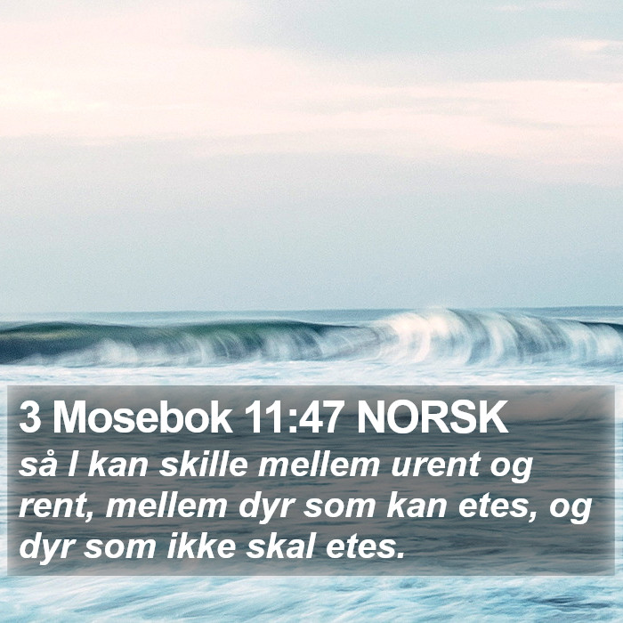 3 Mosebok 11:47 NORSK Bible Study