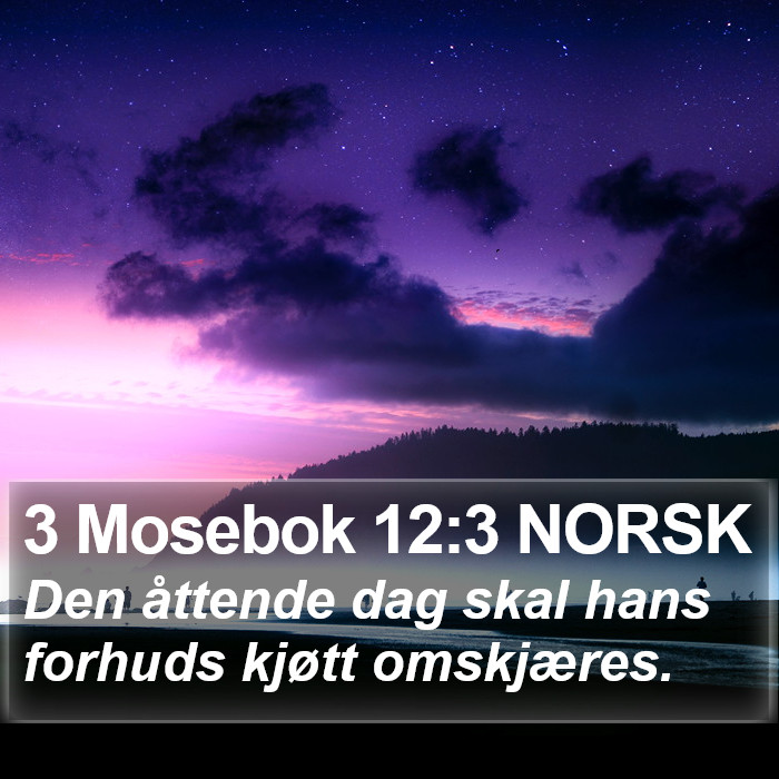 3 Mosebok 12:3 NORSK Bible Study