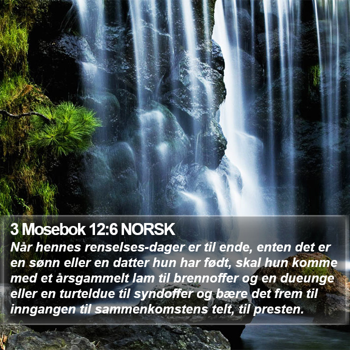 3 Mosebok 12:6 NORSK Bible Study