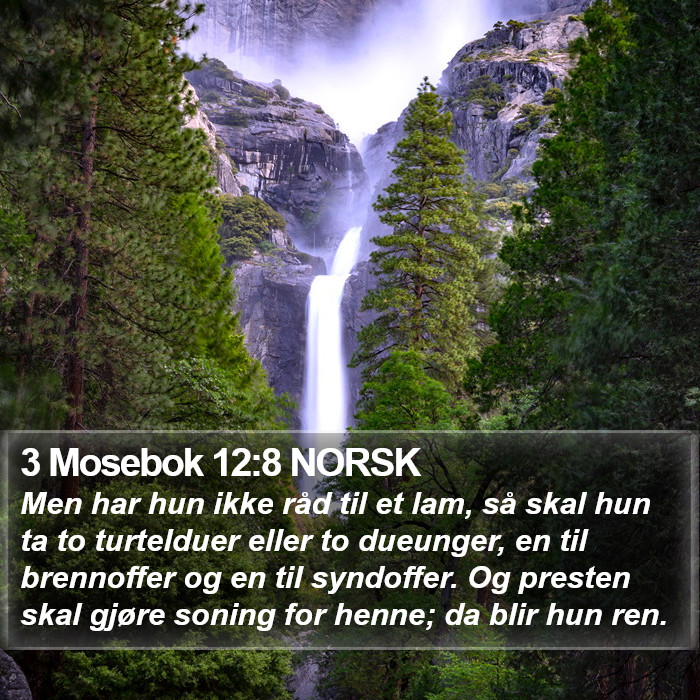 3 Mosebok 12:8 NORSK Bible Study