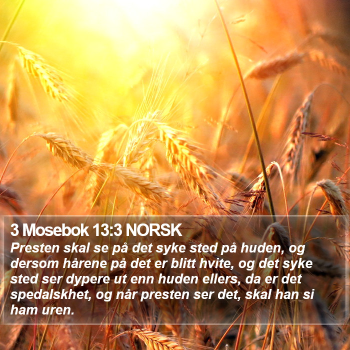 3 Mosebok 13:3 NORSK Bible Study