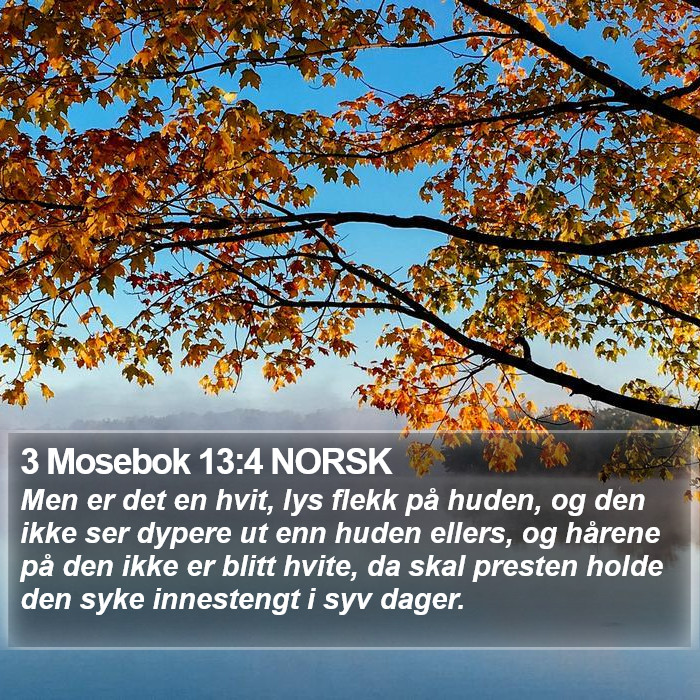 3 Mosebok 13:4 NORSK Bible Study