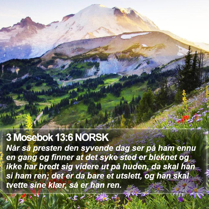 3 Mosebok 13:6 NORSK Bible Study