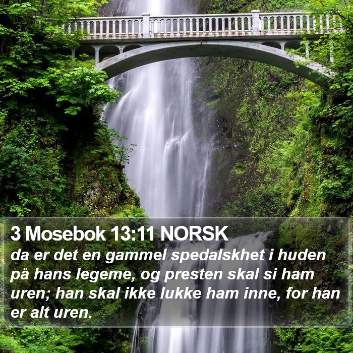 3 Mosebok 13:11 NORSK Bible Study