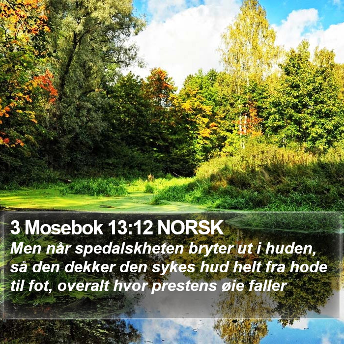 3 Mosebok 13:12 NORSK Bible Study