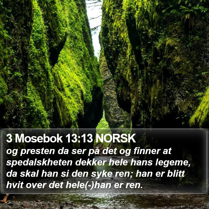 3 Mosebok 13:13 NORSK Bible Study