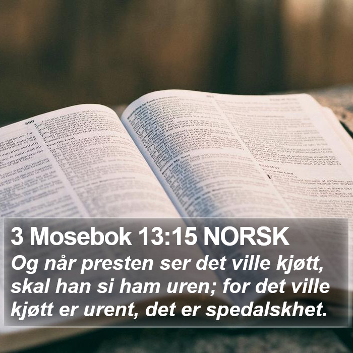 3 Mosebok 13:15 NORSK Bible Study