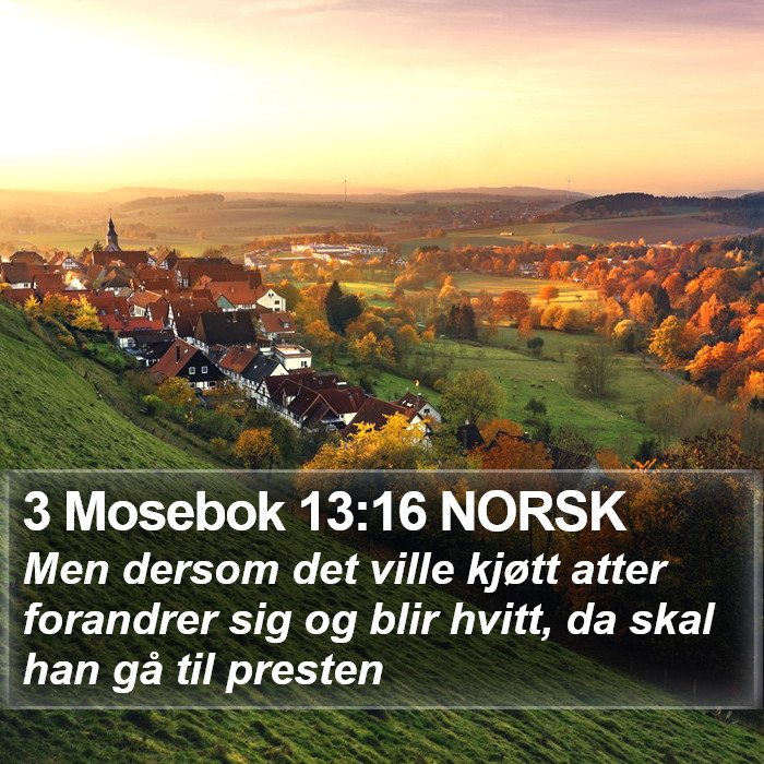 3 Mosebok 13:16 NORSK Bible Study