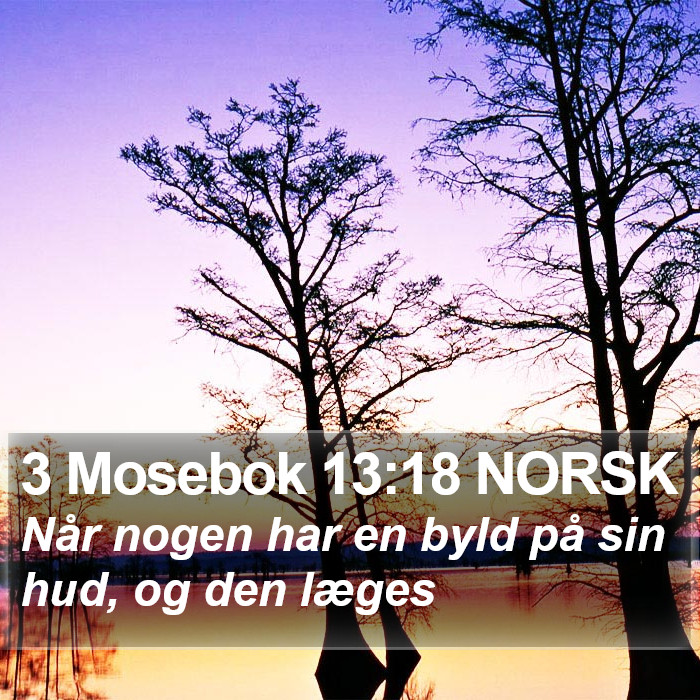 3 Mosebok 13:18 NORSK Bible Study