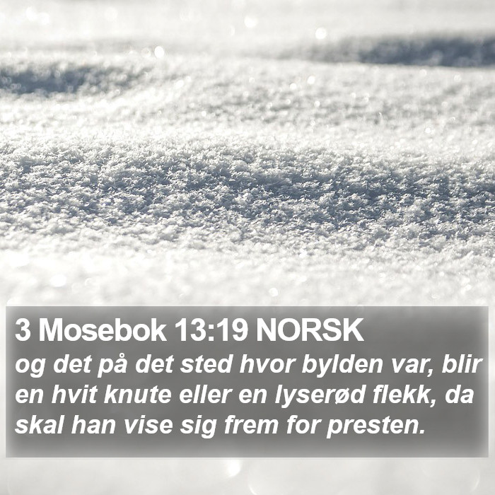 3 Mosebok 13:19 NORSK Bible Study