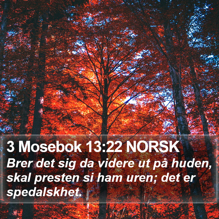 3 Mosebok 13:22 NORSK Bible Study