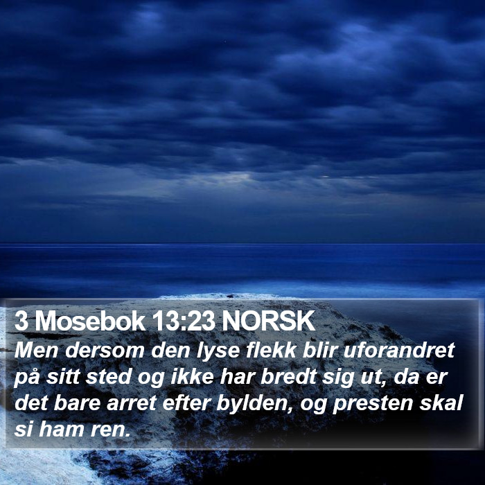 3 Mosebok 13:23 NORSK Bible Study