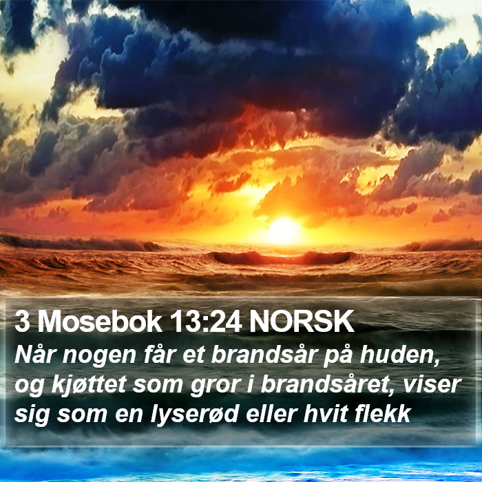 3 Mosebok 13:24 NORSK Bible Study