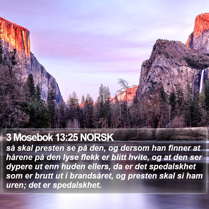 3 Mosebok 13:25 NORSK Bible Study