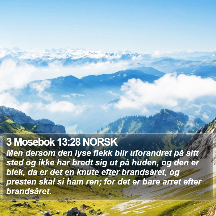 3 Mosebok 13:28 NORSK Bible Study