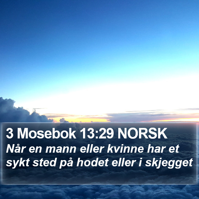 3 Mosebok 13:29 NORSK Bible Study