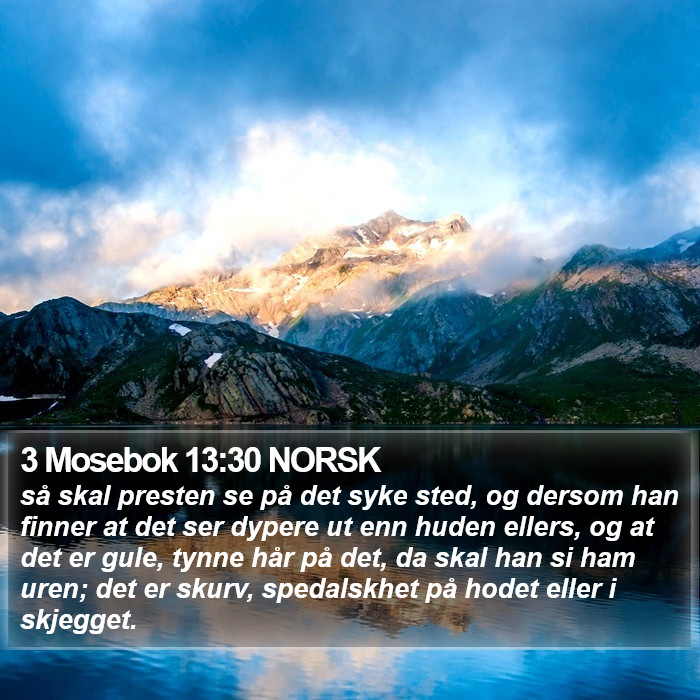 3 Mosebok 13:30 NORSK Bible Study