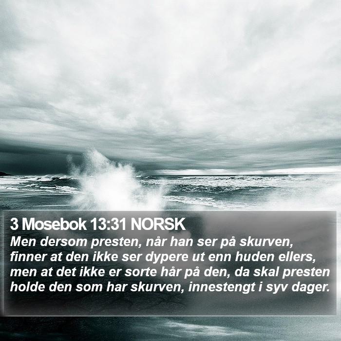 3 Mosebok 13:31 NORSK Bible Study