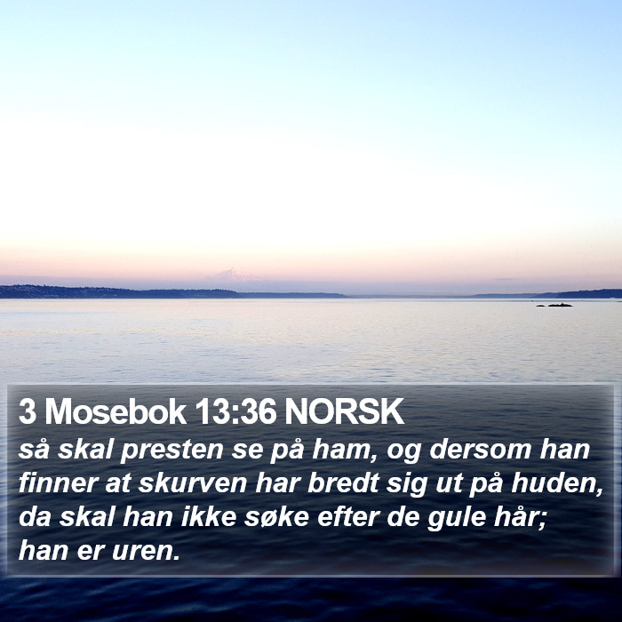 3 Mosebok 13:36 NORSK Bible Study