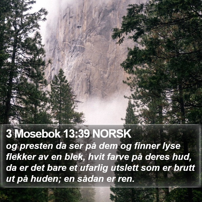 3 Mosebok 13:39 NORSK Bible Study