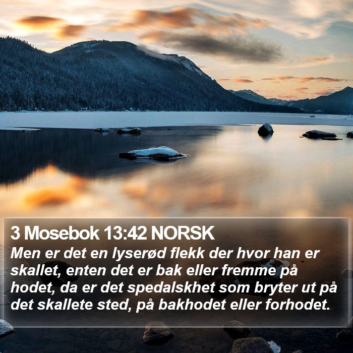 3 Mosebok 13:42 NORSK Bible Study