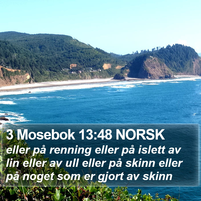 3 Mosebok 13:48 NORSK Bible Study