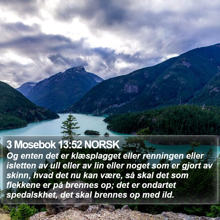 3 Mosebok 13:52 NORSK Bible Study