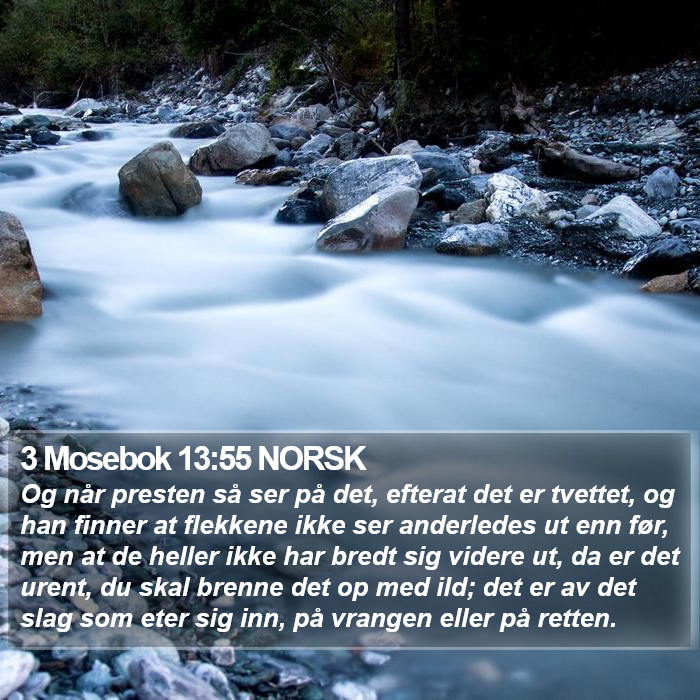 3 Mosebok 13:55 NORSK Bible Study