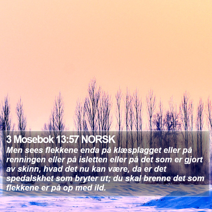 3 Mosebok 13:57 NORSK Bible Study