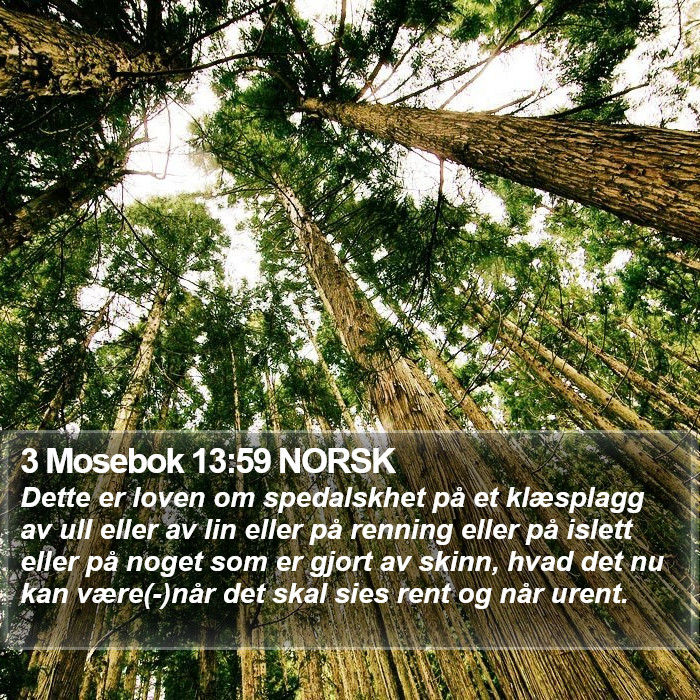 3 Mosebok 13:59 NORSK Bible Study