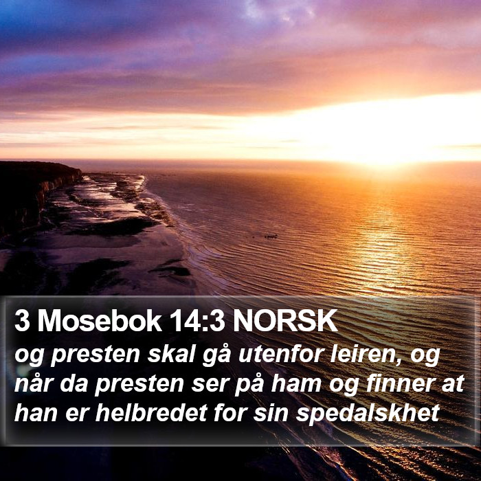 3 Mosebok 14:3 NORSK Bible Study