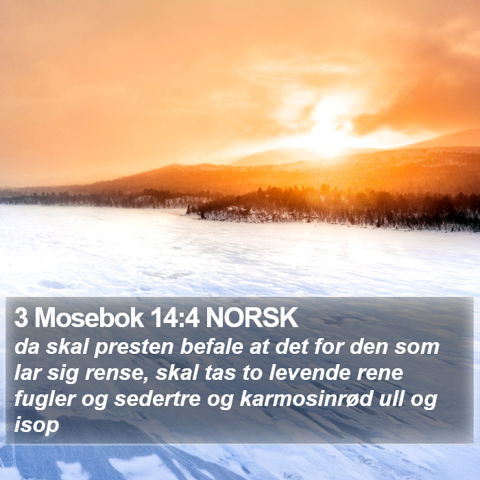 3 Mosebok 14:4 NORSK Bible Study