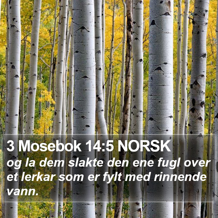 3 Mosebok 14:5 NORSK Bible Study