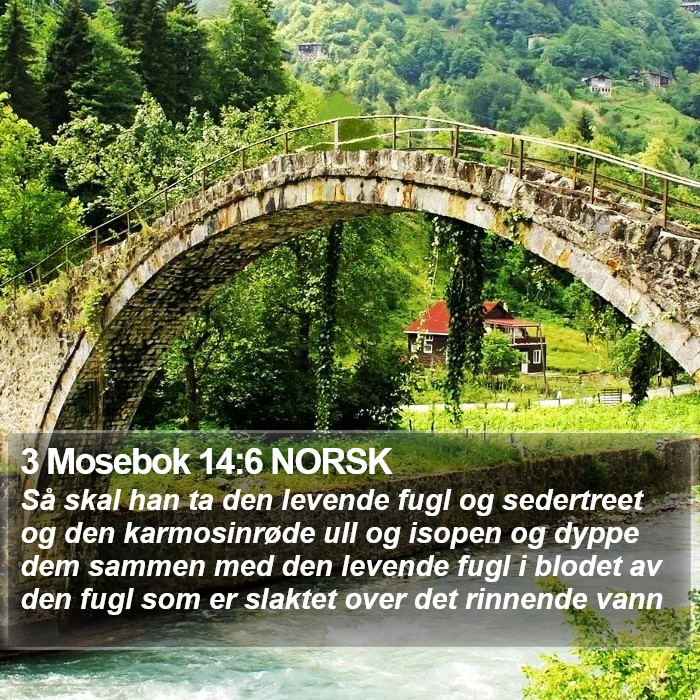 3 Mosebok 14:6 NORSK Bible Study