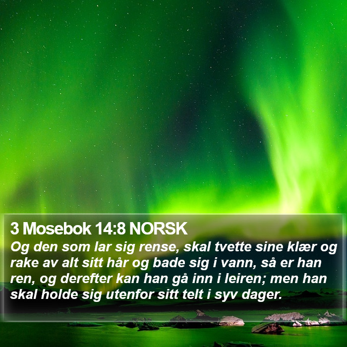 3 Mosebok 14:8 NORSK Bible Study