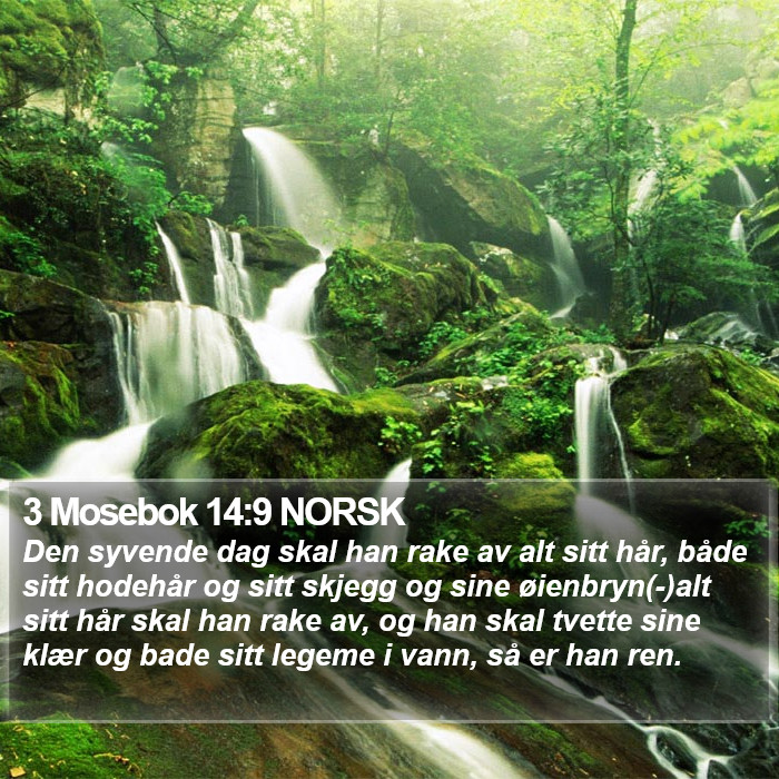 3 Mosebok 14:9 NORSK Bible Study