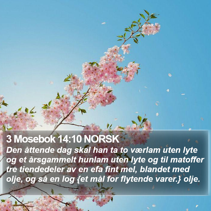 3 Mosebok 14:10 NORSK Bible Study