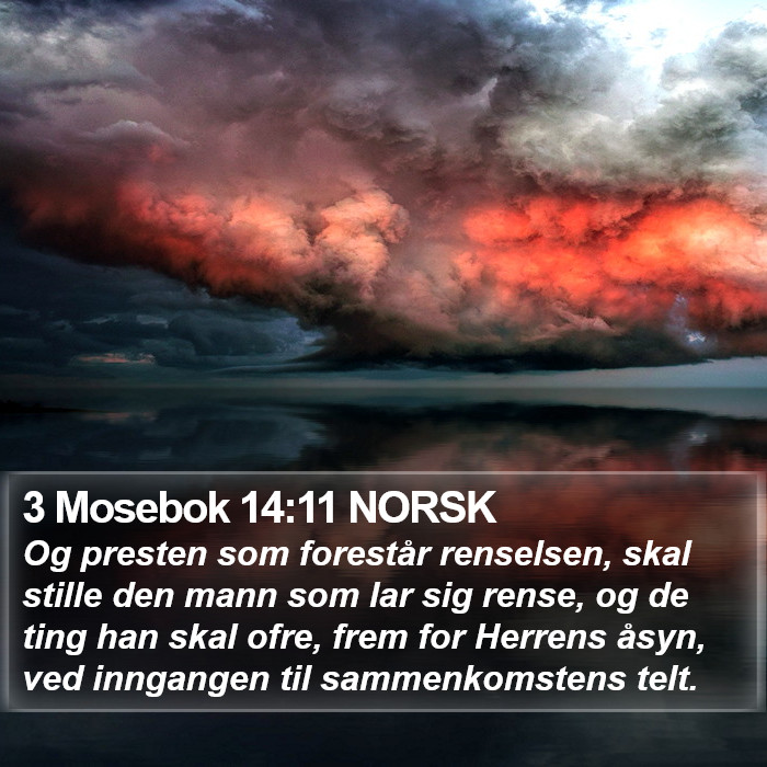 3 Mosebok 14:11 NORSK Bible Study