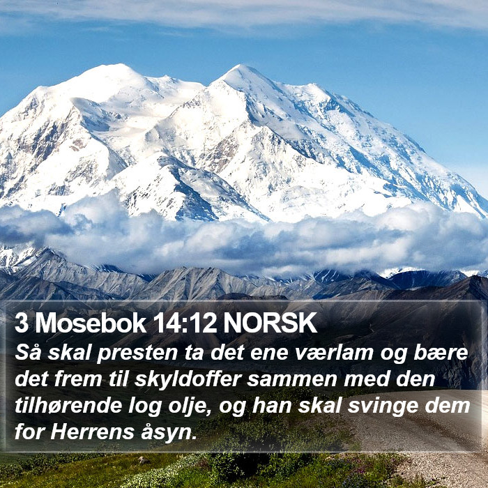 3 Mosebok 14:12 NORSK Bible Study