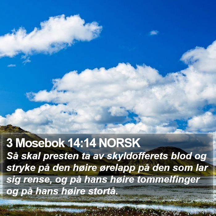 3 Mosebok 14:14 NORSK Bible Study