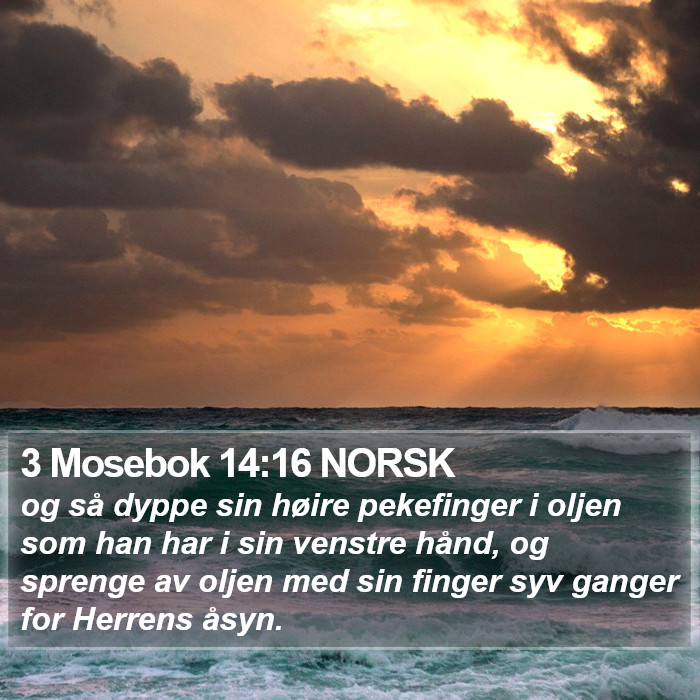 3 Mosebok 14:16 NORSK Bible Study