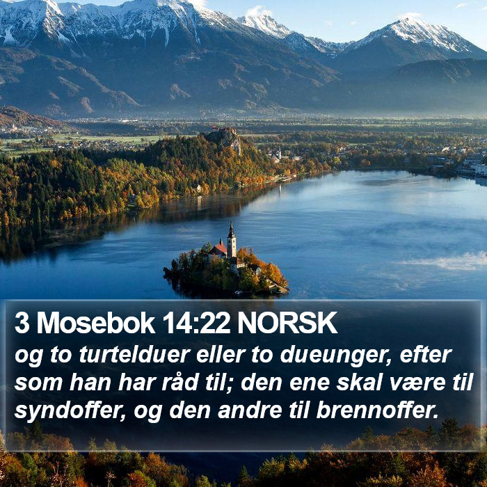 3 Mosebok 14:22 NORSK Bible Study