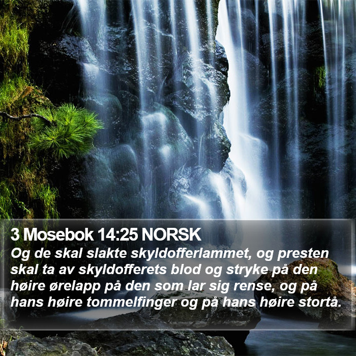 3 Mosebok 14:25 NORSK Bible Study